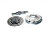 Clutch kit:454 250 03 01